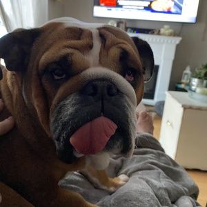 Meet your Posher, Tracy-lynn